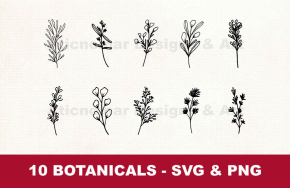 Botanical Svg Png Bundle: A Designer’s Real-World Embroidery Review