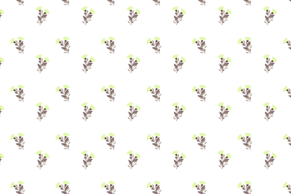 Pattern Summer Floral Collection