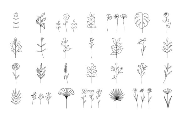 Trendy Floral Tropical Leaves Line Art